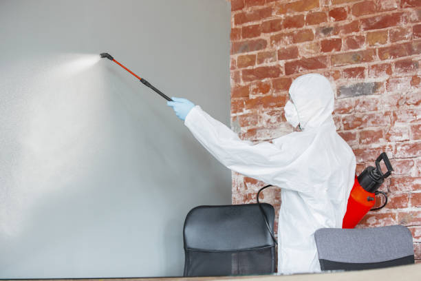 Best Mold-Related Health Consultation  in Odessa, TX